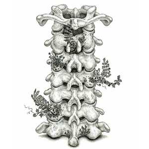 午夜性福利视频
