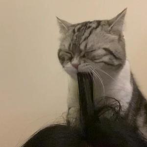 午夜性福利视频
